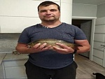 Алексей Владимирович Гущин