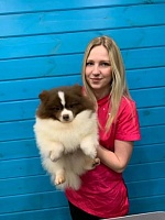 Анастасия Александровна Волкова